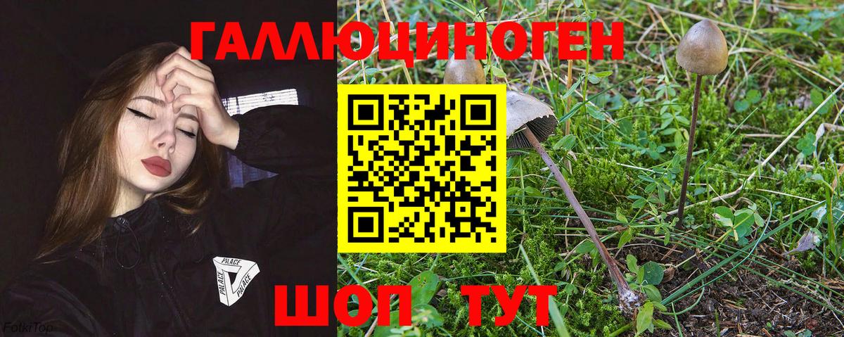 Псилоцибиновые грибы прущие грибы Дзержинский