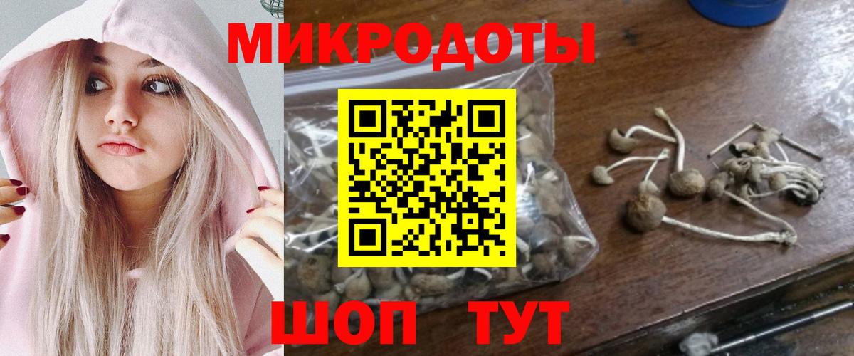 Дзержинский  Галлюциногенные грибы мицелий  Псилоцибиновые грибы прущие грибы  Вход с VPN 